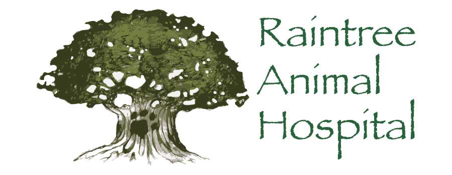 Raintree Animal Hsopital Logo 1