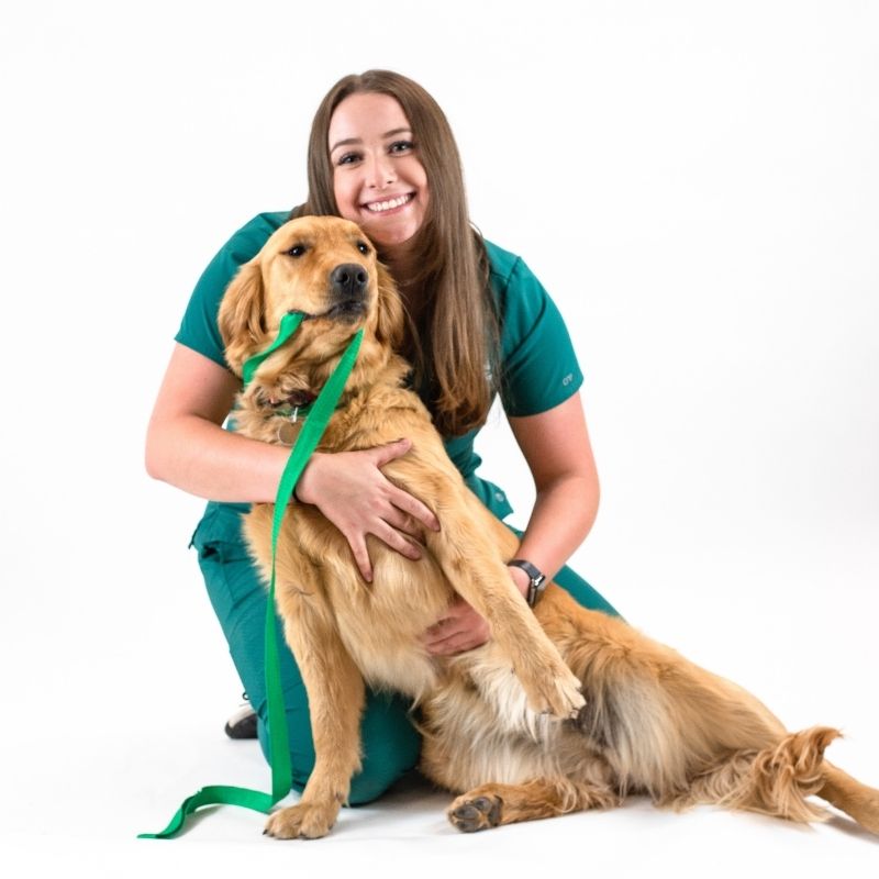 Veterinary Team in Fort Collins, CO - Raintree Animal Hospital