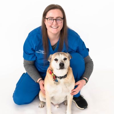 Pet Supplies, Animal Hospital in Windsor, CO