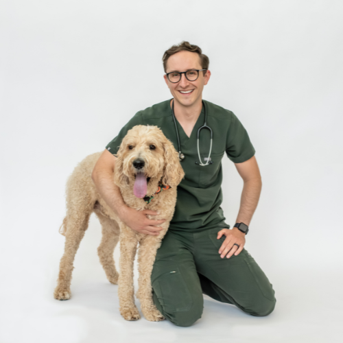 Dr. Brian DeFilippo Lauren