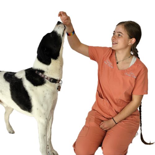 Grace - Boarding & Doggie Daycare