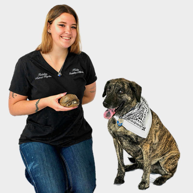 Hailey  - Boarding & Doggie Daycare